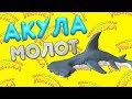 КАК СЛЕПИТЬ АКУЛУ МОЛОТ ИЗ ПЛАСТИЛИНА | PLASTICINE HAMMERHEAD SHARK