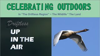 Up In The Air Celebrating Driftless Outdoors With Nature And Wildlife