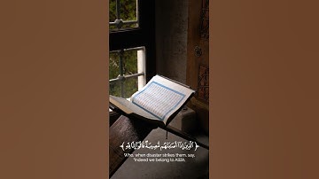 #آيات_قرآنيه #آيات #القرآن_الكريم #يارب #الله #foryou #quran #fyp