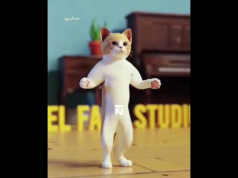 هاااي هاااي ياسناجل الفلانتين