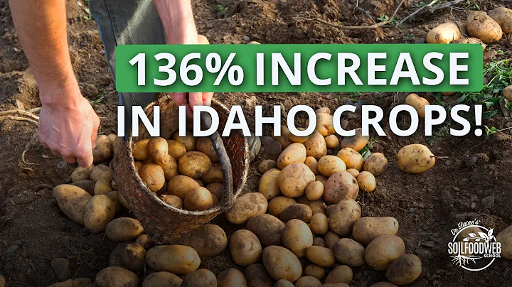 Soil Food Web School Case Study: Sustainable Servi...