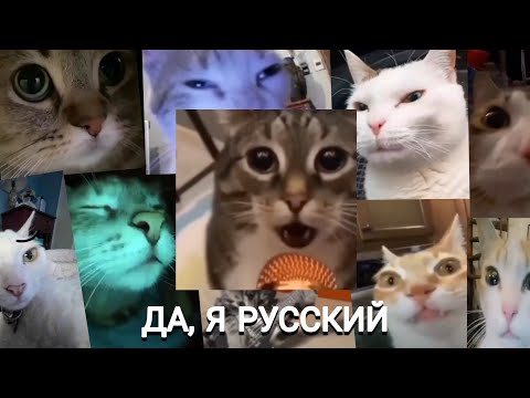 Наверное Поэт, Якоръ, Even Cute x Ernest Merkel - Да, Я Русский