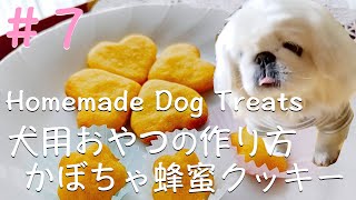 犬用おやつの作り方#7 ~かぼちゃ蜂蜜クッキー~