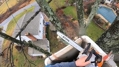 Where Is The Balance Point?