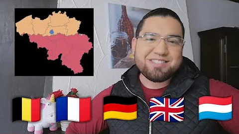 Dove si parla in fiammingo?