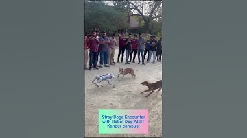 ROBOT DOGS VS DOGS AT IIT Kanpur#muksrobotics #shorts#muksrobotics#iitkanpur#Ai