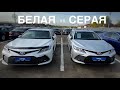 Камри Белая и Серая! Ваш выбор?