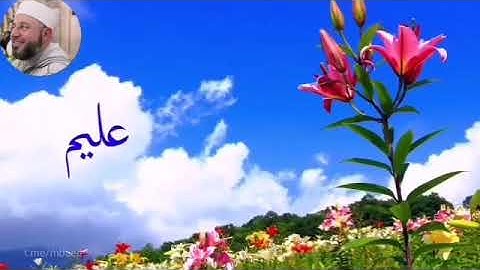 من سورة النور 21-25 بصوت الشيخ محمود المبيض