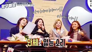 [마마무] 응원법의 틀을 깨부수는 마마무 (feat. 대환장 파티)