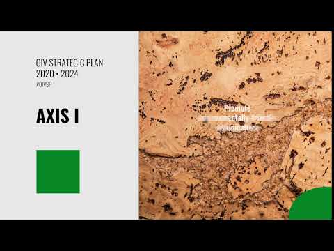 OIV Strategic Plan 2020-2024