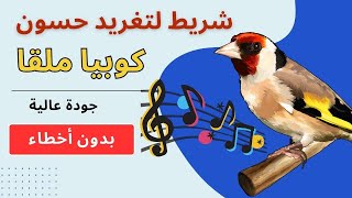 تغريد حسون رافييل بطل إسباني (شريط ملقا)#birds #حسون #jilguero #cante de jilguero #طيور