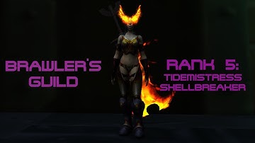 WoW BfA 8.1.5 Brawler