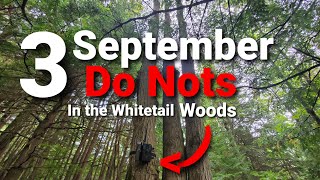 3 September "Do Nots" before Whitetail Hunting