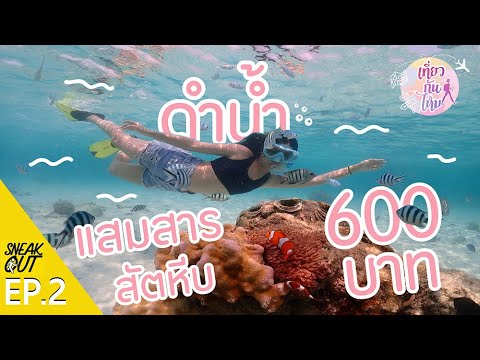 ดำน้ำแสมสาร ฝูงปลาโคตรสวย!!  แค่600บาท!? | เที่ยวกันไหม EP.2