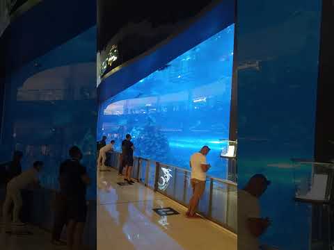 Dubai ka fish aquarium