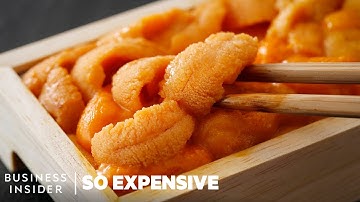 Why Sea Urchins Are So Expensive | So Expensive