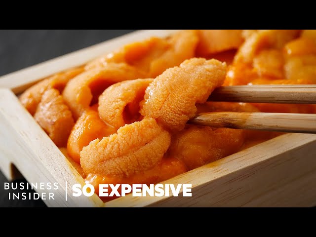 Why Sea Urchins Are So Expensive | So Expensive class=