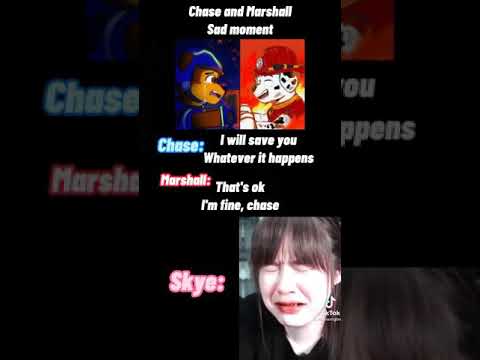 Paw Patrol Chase And Marshall Sad Moment