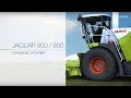 Claas jaguar 900  800 dynamic power  2017