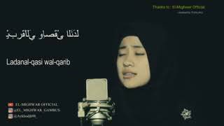 Law kanal habib