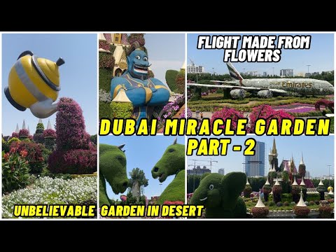 Dubai Miracle Garden 🪴 Part 2 | Tamil vlog |360 view #dubaimiraclegarden #dubai #uae #dubaivlog