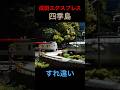 踏切ですれ違う成田エクスプレスと四季島 #鉄道 #train #電車 #modelrailroad #踏切 #railroadcrossing #nゲージ #ジオラマ
