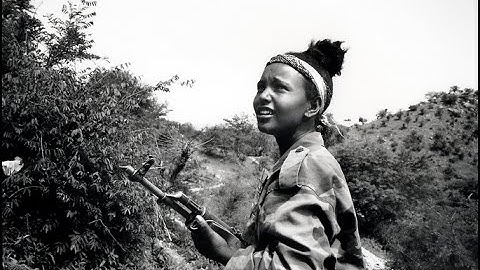 The History of Eritrea, Ethiopian Government doesn