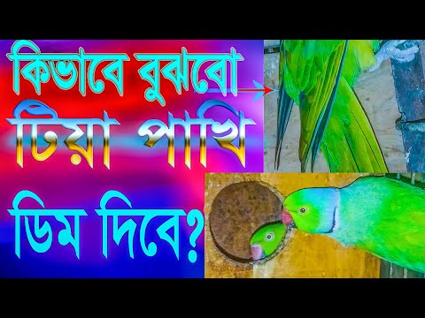 ভিডিও: কোন প্রাণী কখন ডিম পাড়ার মাধ্যমে প্রজনন করে বলা হয়?