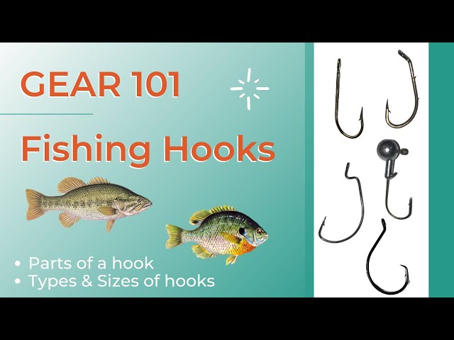 Fishing Hook Types & Sizes - Choose the BEST ONE for you