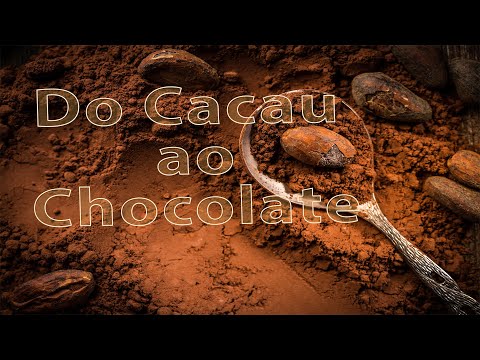 Vídeo: Do Que é Feito O Chocolate