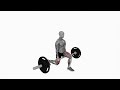 Barbell Jefferson Split Squat - Proper Form &amp; Technique [4K]