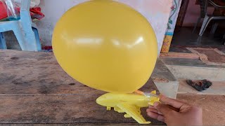 Experiment Airoplane Vs Balloon Balloon Air Muments Dmk Atoz Videos
