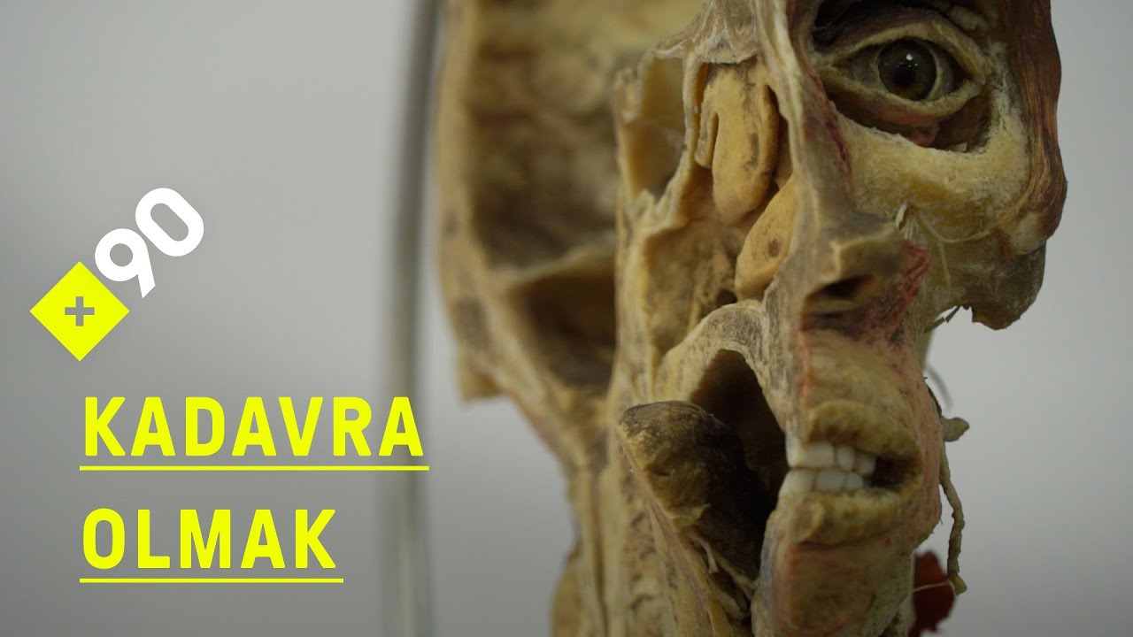Kadavra olmak | 