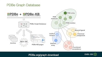 PDBe API webinar series: Using the PDBe graph API