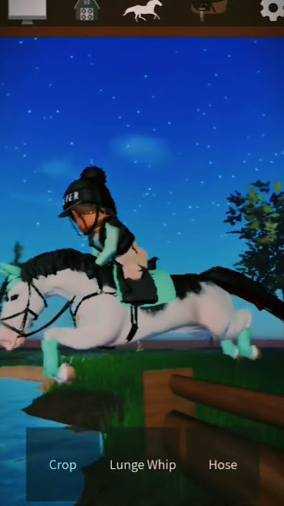 ride before a hot day! #equestrian #fypシ #stw