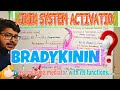 BRADYKININ  release mechanism...during {INFLAMMATION}||KININ SYSTEM