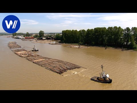 Vidéo: Le train routier le plus long du monde : les héros d'aujourd'hui et d'autrefois