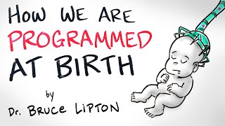 How We Are Programmed at Birth - Bruce Lipton