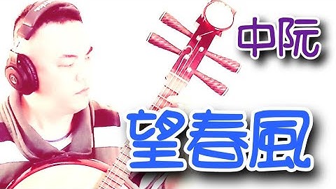 【望春風】中阮的三種彈法(中阮Ruan) 作曲、演奏：蘇俊琪(YAMAHA PSR-S970自製伴奏)Roland go mixer pro、audio-technica AT-2035