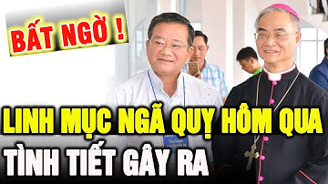 🛑Ngỡ Ngàng! Tình tiết Cha Giuse Nguyễn Hữu An bị Ngã Quỵ, Tạ Ơn CHÚA Ngài qua cơn Ngu.y Kịch