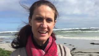 Afrikaans is die taal van ons hart