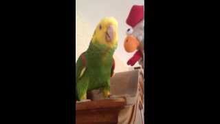 Paco&#39;s monologue with the annoying,  squeaky chicken