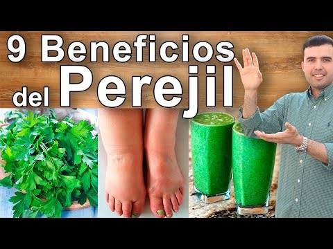 Para Que Sirve el Perejil - Propiedades, Beneficios Y Contraindicaciones Del Perejil