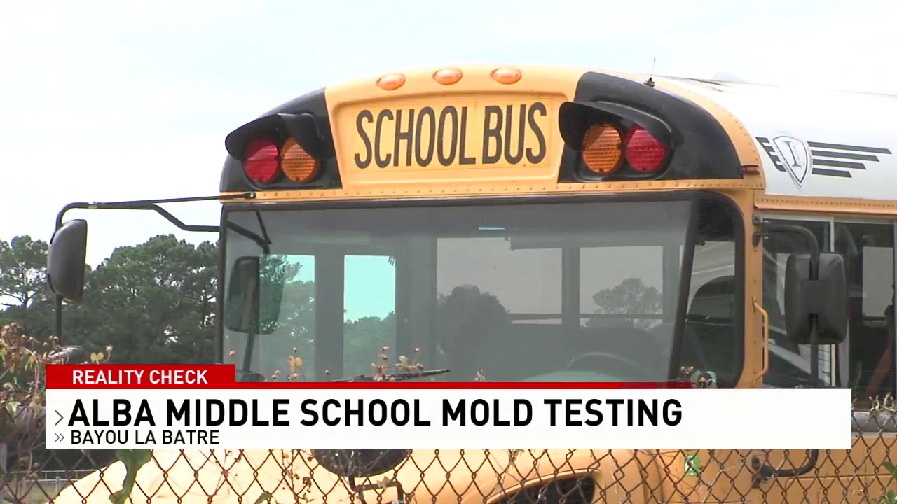 Reality Check Results in for mold testing at Alba Middle School in