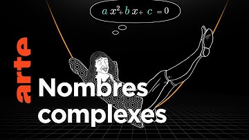 Pique-nique sur le plan complexe | Voyages au pays des maths | ARTE