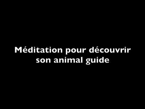 Méditation guidée - Découvrir son animal guide