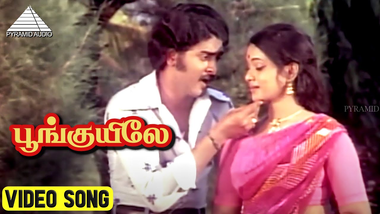  Video Song  Chinna Chinna Veedu Katti Movie Song  Sudhakar  Anu  Shankar Ganesh