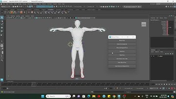 maya mirror pose plugin v2  demo cut