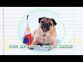 Doug the Pug from &#39;The Mitchells vs. The Machines&#39; Shoutout Video