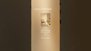 TRACK 17 CELLULAR MEMORY v2